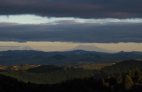 Waitomo Caves Maison | Rock Retreat B&B farmstay