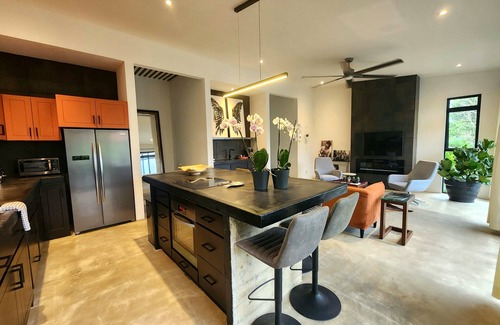 Canton Tilaran Maison | ROCKSTAR! modern luxury lake view home.