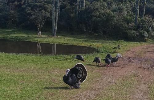 Cambara do Sul Hôtel | Rodeio das Lagoas Pousada