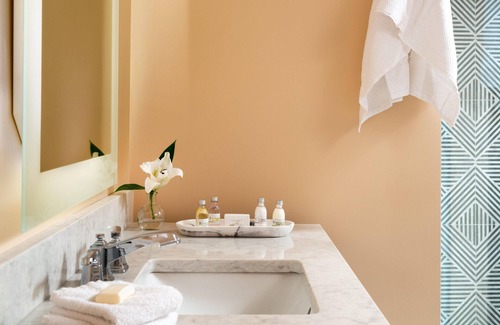 Roanoke Hôtel | Roll-in Shower, ADA Design, Boutique Hotel in Heart of Downtown Roanoke