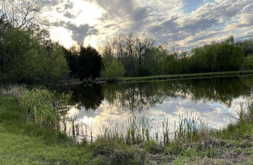 Faunsdale Cabine | Rolling Meadows Countryside Cabin, Pets Welcome!