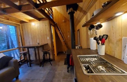 Saint-Etienne-De-Bolto Cabine | Romantic eco-cottage with mezzanine: La Perdrix