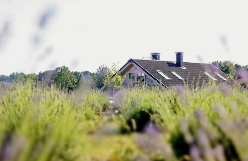 Gratiskes Appartement | Romantic apartment near lavender field and lake. 25 min from Vilnius.