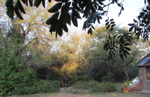 Thorny Bush Game Reserve Maison | Romantic canvas pad on river, share shower with monkeys and listen to the lions