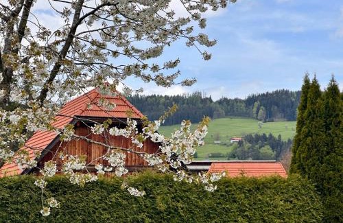 Muhldorf Appartement | Romantic Chalet - Alpine Getaway Salzkammergut