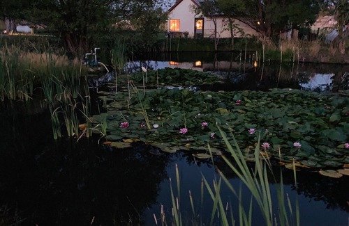 Ignacio Cottage | Cottage romantique vieux de 100 ans, entièrement mis à jour dans une ferme équestre rurale