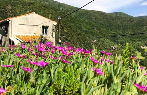 Baillestavy Maison | Romantique maison de montagne dans les Pyrénées Orientales