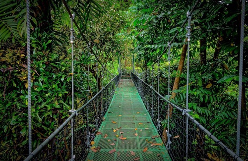 Manuel Antonio Cottage | Cabane de cockpit de la jungle romantique au-dessus des plages de Manuel Antonio White Sand