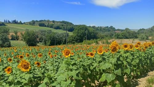 Deruta Appartement | Romantic suite in the village of Castelleone, vicino Deruta, Assisi, Perugia, Montefalco