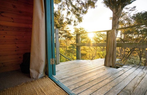Aongatete Cabine | Romantic Tranquil Tui Treehouse