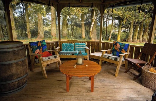 Aongatete Cabine | Romantic Tranquil Tui Treehouse
