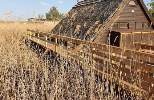 Rust Appartement | Romantika5 - Schilfhaus, Dusche, WC, Seeblick