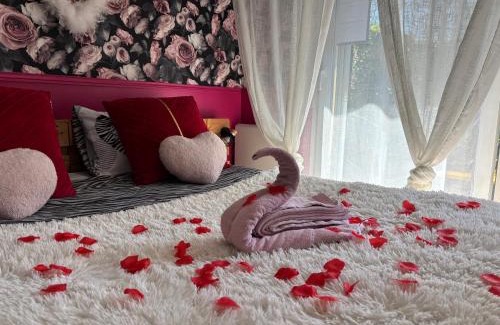 Pouilly Appartement | Romantisme et glamour 2 avec spa , clim et jardin