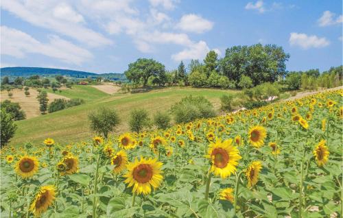 Cagli Maison | Rondine
