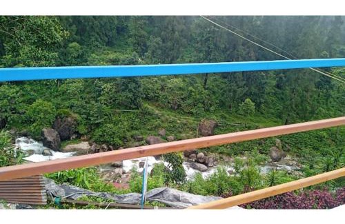 Kumai Maison | Rongo River View Homestay