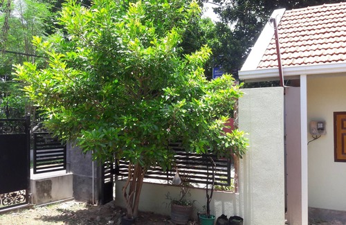 Marawila Maison | Roo Neeroga