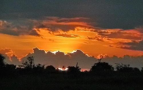 Kruger National Park Cabine | Roodewal Bush Lodge
