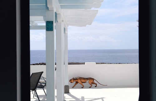Santa Cruz de la Palma Maison | Rooftop Dreamhouse - 3BR with Seaviews