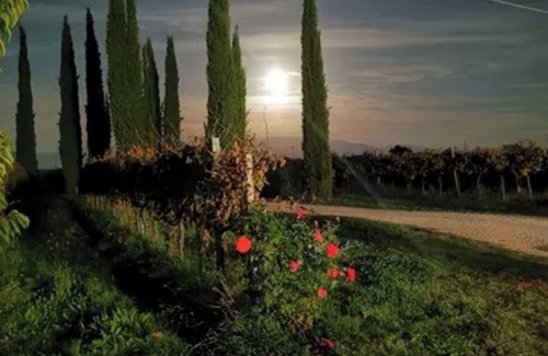 Montefalco Appartement | Room 'Cipriano' with Shared Garden, Wi-Fi and Air Conditioning