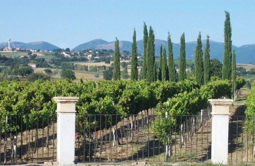 Montefalco Appartement | Room 'Cipriano' with Shared Garden, Wi-Fi and Air Conditioning