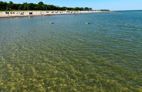 Am Schwarzen Busch Appartement | Room for three - Cozy room for 2 people right on the beach of Schwarzer Busch!