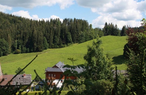 Hinterzarten Appartement | Room 'Familienzimmer' with Shared Terrace, Balcony and Wi-Fi