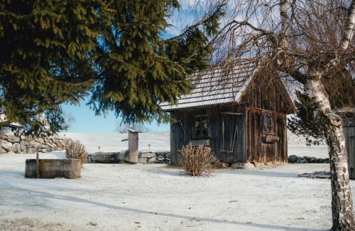 Auberg Maison | Room in a Farm Residence Austria - Shared bathroom