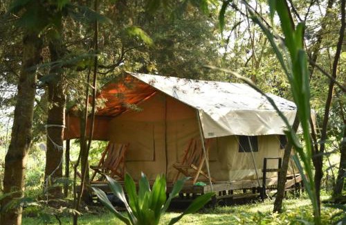 Nyakinama Maison | Room in BB - Red Rocks Rwanda - Safari Tent Twin