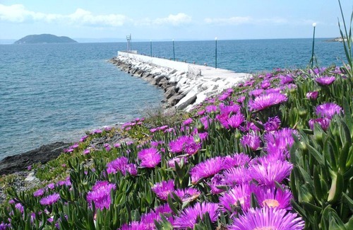 Neos Marmaras Maison | Room in BB - Welcome To Hotel petunia, In Neos-marmaras,xalkidiki ,greece, triple room 7