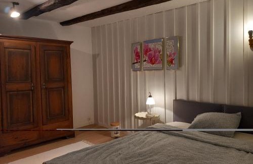 Wasterkingen Maison | Room in cosy traditional swiss house