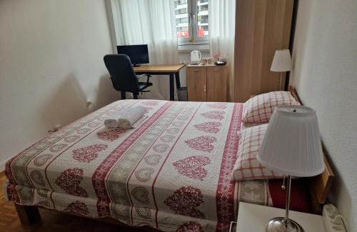 Saint-Jean and Charmilles Maison | Room in Shared Apartment Geneva