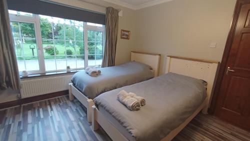 Ballyedmond Maison | Room in Wexford
