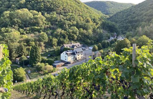 Mainz-Bingen Appartement | Roosartige Ferien - Ferienwohnung am Weiherturm