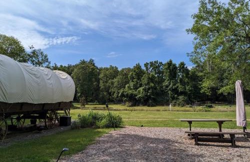 Putnam Hall Maison | Rooterville Animal Sanctuary
