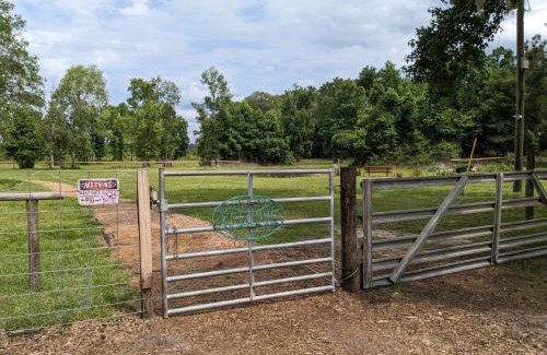 Putnam Hall Maison | Rooterville Animal Sanctuary
