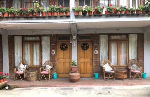 Turuk Maison | Roots Shoots & Beds