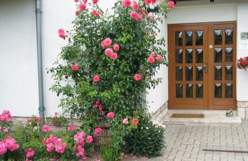 Bad Langensalza Maison | Rose ambience Modern retreat