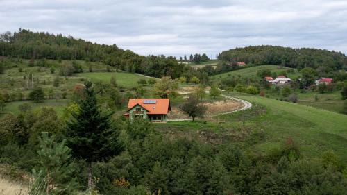 Valea Tirnei Cabine | Rose Hip Hill Guesthouse