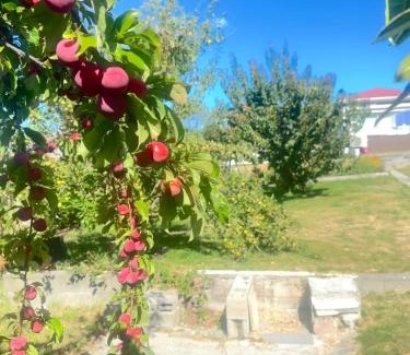 Glenorchy Maison | Rose Homey Home