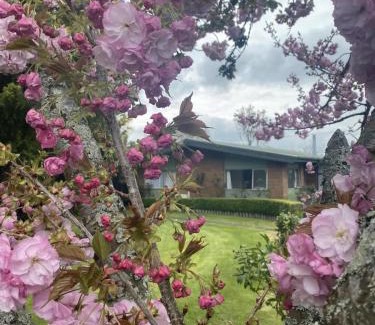 Kawaha Point Maison | Roselake Retreat
