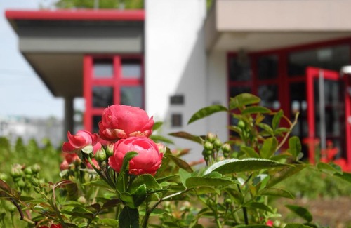 Sangerhausen Hôtel | Rosen-Hotel