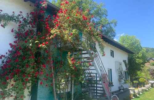 Hasenfeld Appartement | Rosenstufen