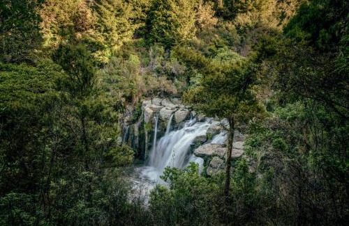 Matauri Bay Cabine | Rosewood Kauri Cliffs