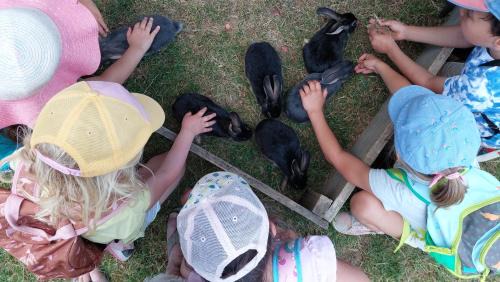 Pouylebon Autre | Roulotte a la ferme