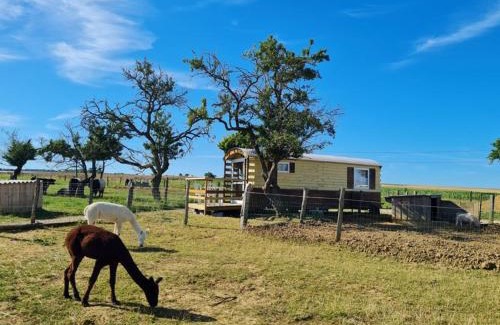 Burthecourt-aux-Chenes Autre | Roulotte tout confort au milieu des animaux
