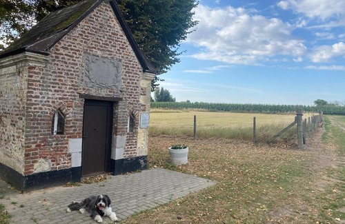 Meersenhoven Maison | Route 123 Birchwood Pension