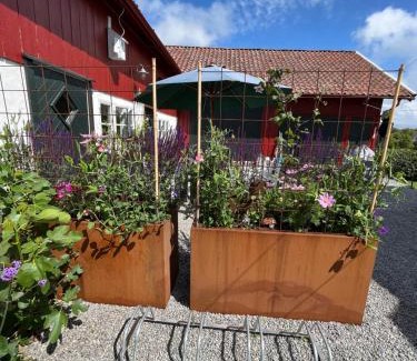 Skaerhamn Maison | Rovor och Rum Rännet