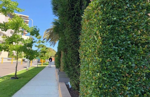 Caulfield North Appartement | Royal Executive Living - Garden Executive Home