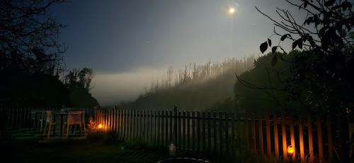 Ooty Hôtel | RR Forest View