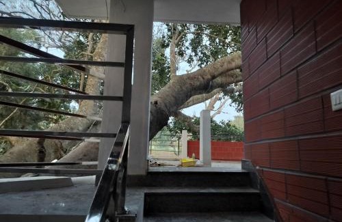 Yelagiri Maison | RR inn
